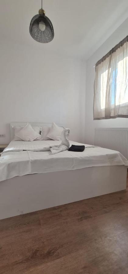 Gca Victoriei Apartment