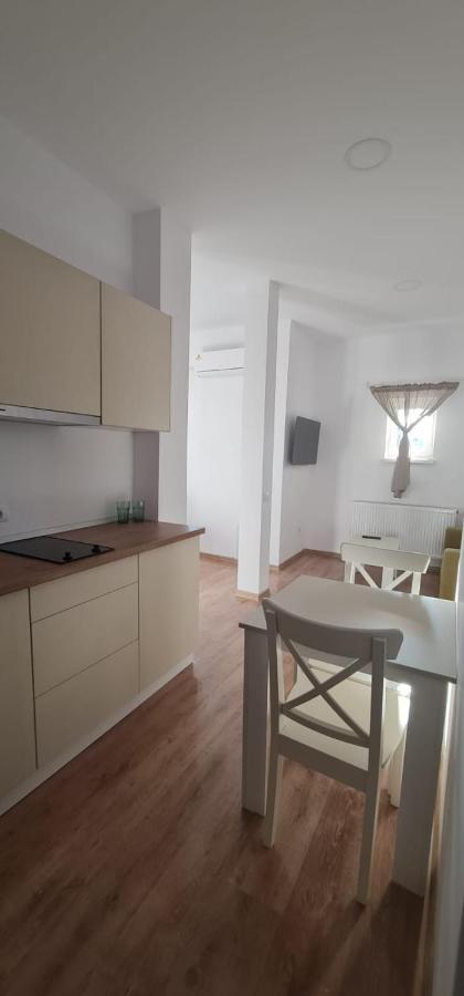 Gca Victoriei Apartment Bucharest