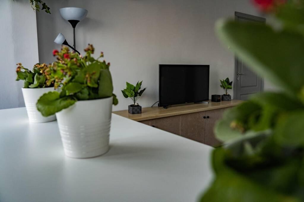 Apartment Modern 1 Bedroom In Center!