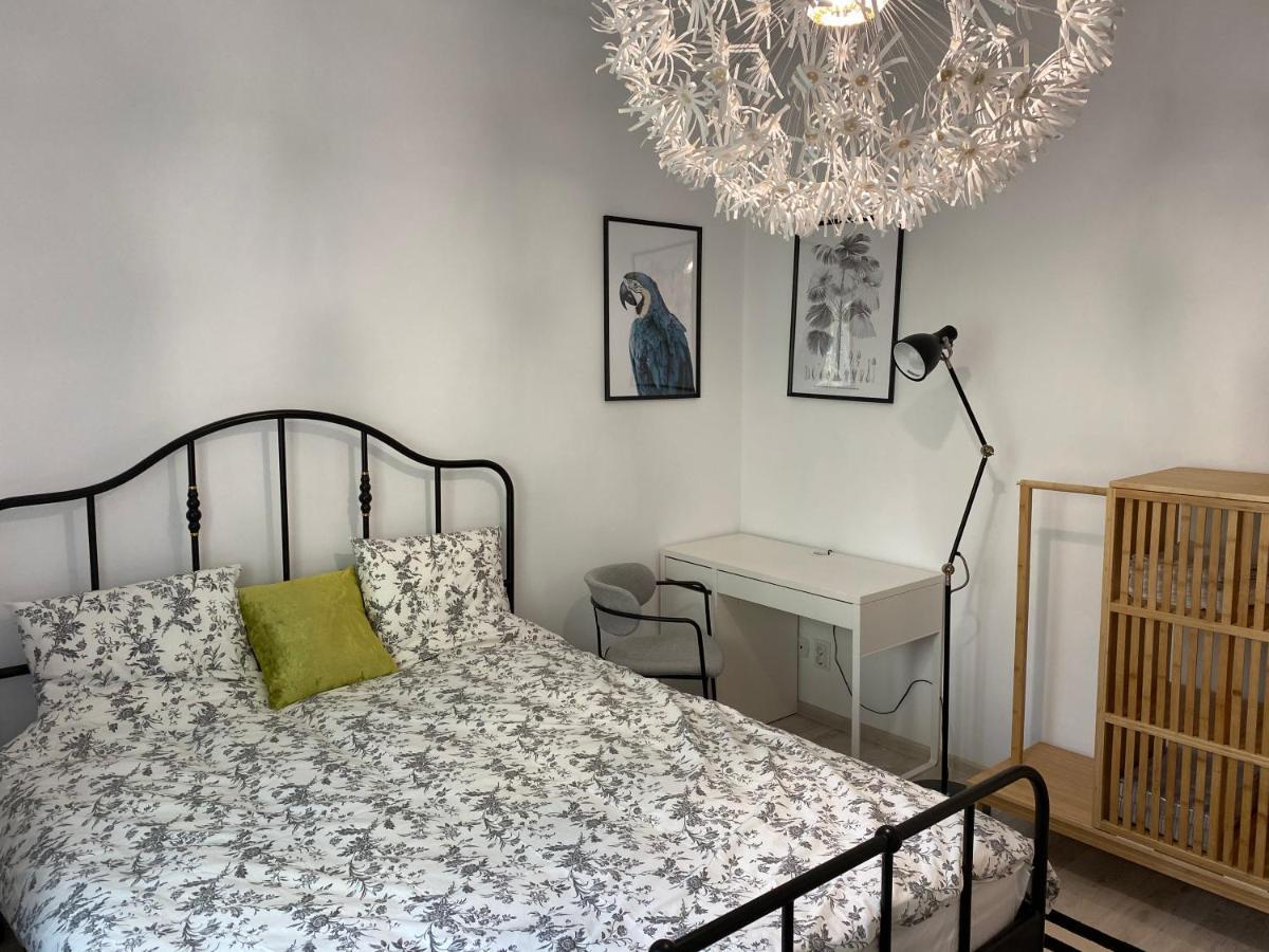 Apartment Studio Clucerului 8