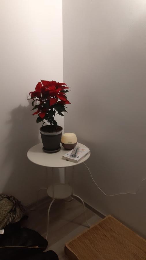 Apartment Triumph Studio *