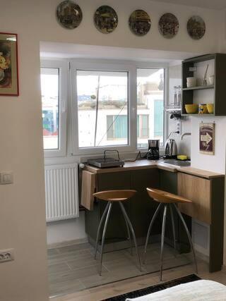Brand New Downtown Studio Apartment *