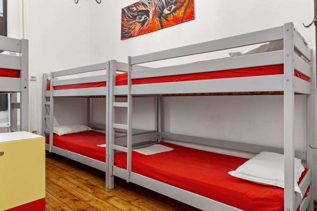 Friends Albergue Bucareste