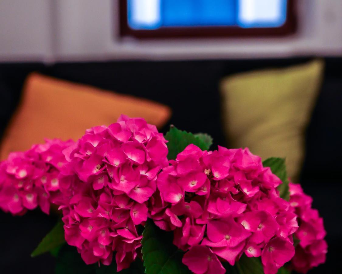 Comfort & Style - Kiseleff - Arcul De Triumf - Apartamento Bucareste