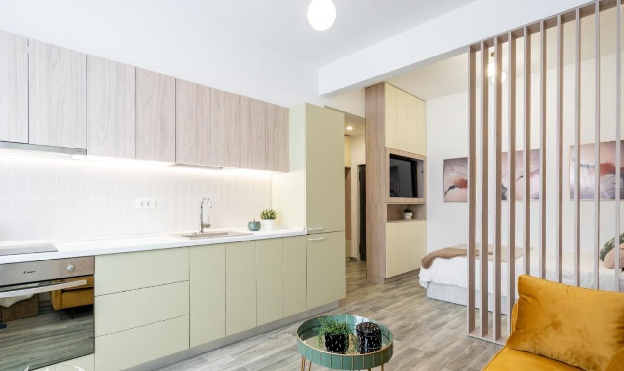 Apartment Executive Suites In Center Bucharest