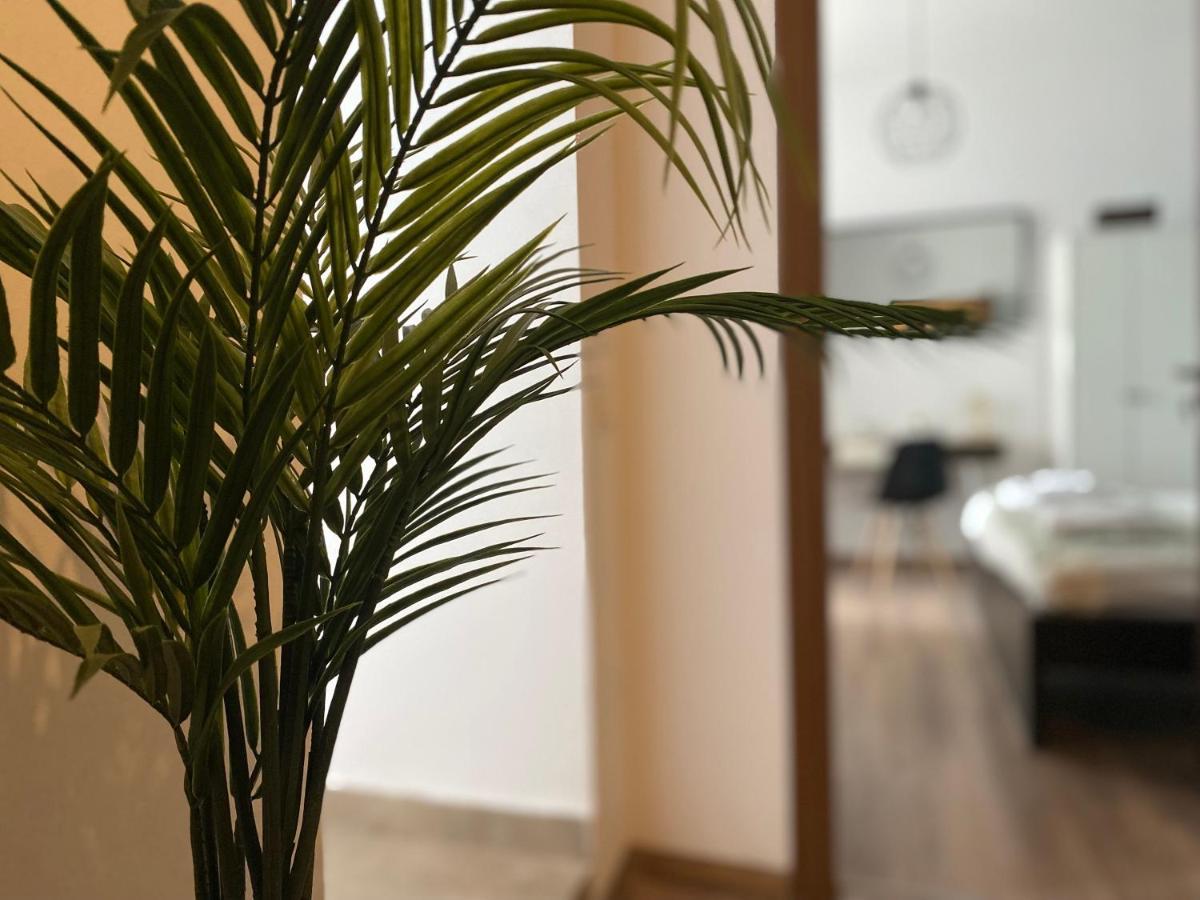 Apartment Aqua Old *