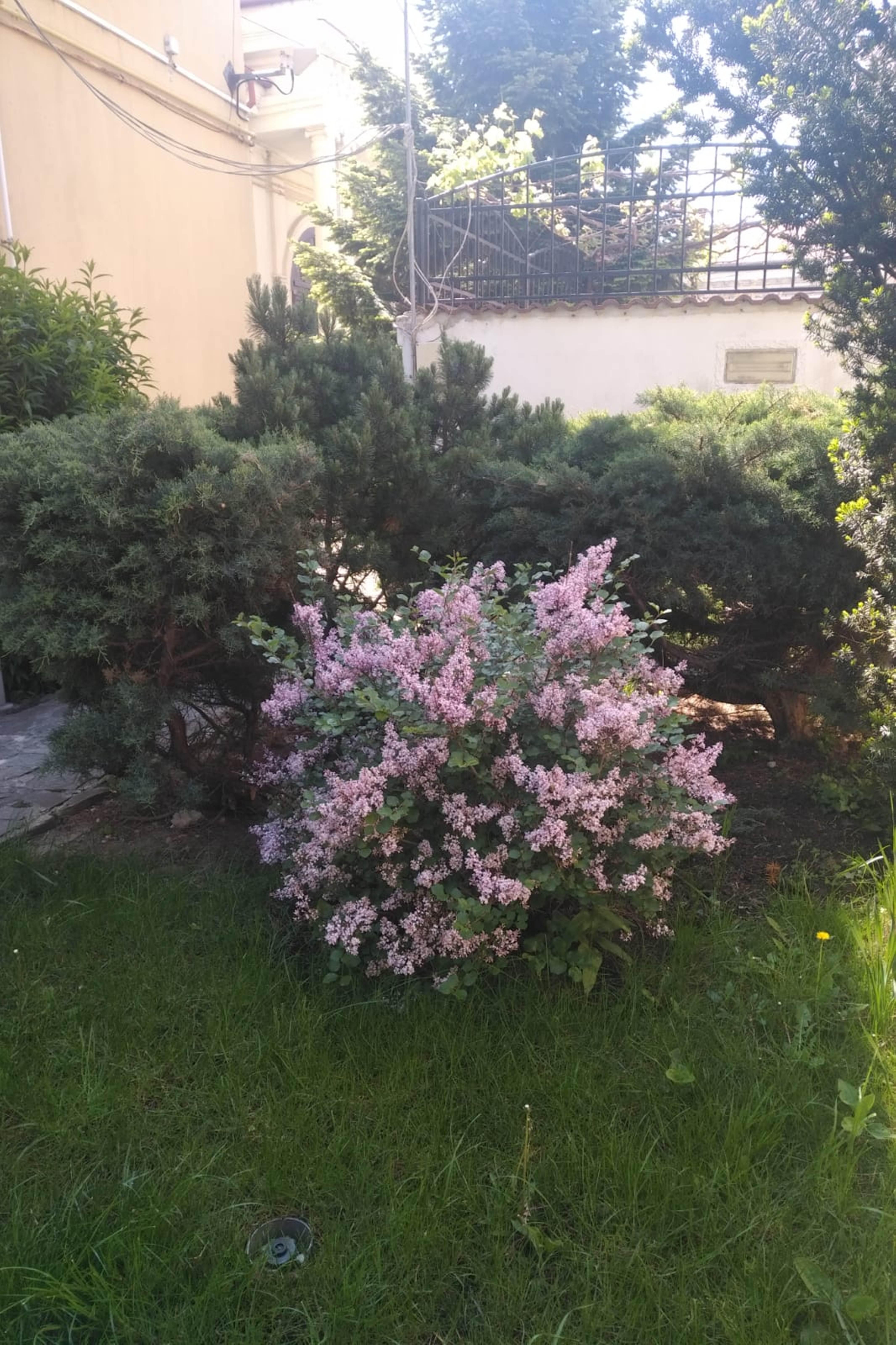 Prince 3* Bucharest
