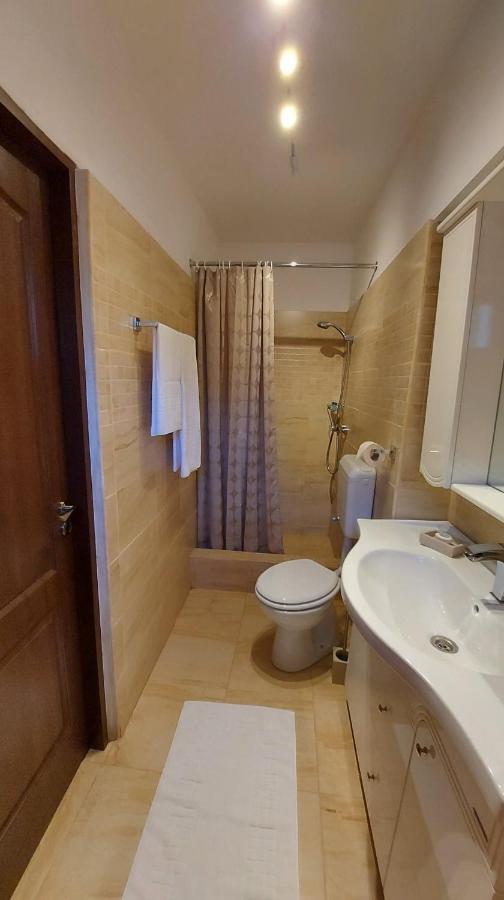 Ambient Apartament