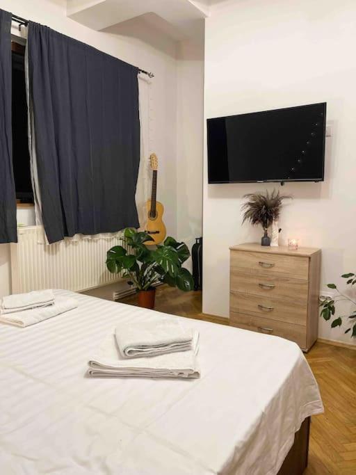 Apartment Cozy Flat Right Next To Bucharest's Park Bucharest