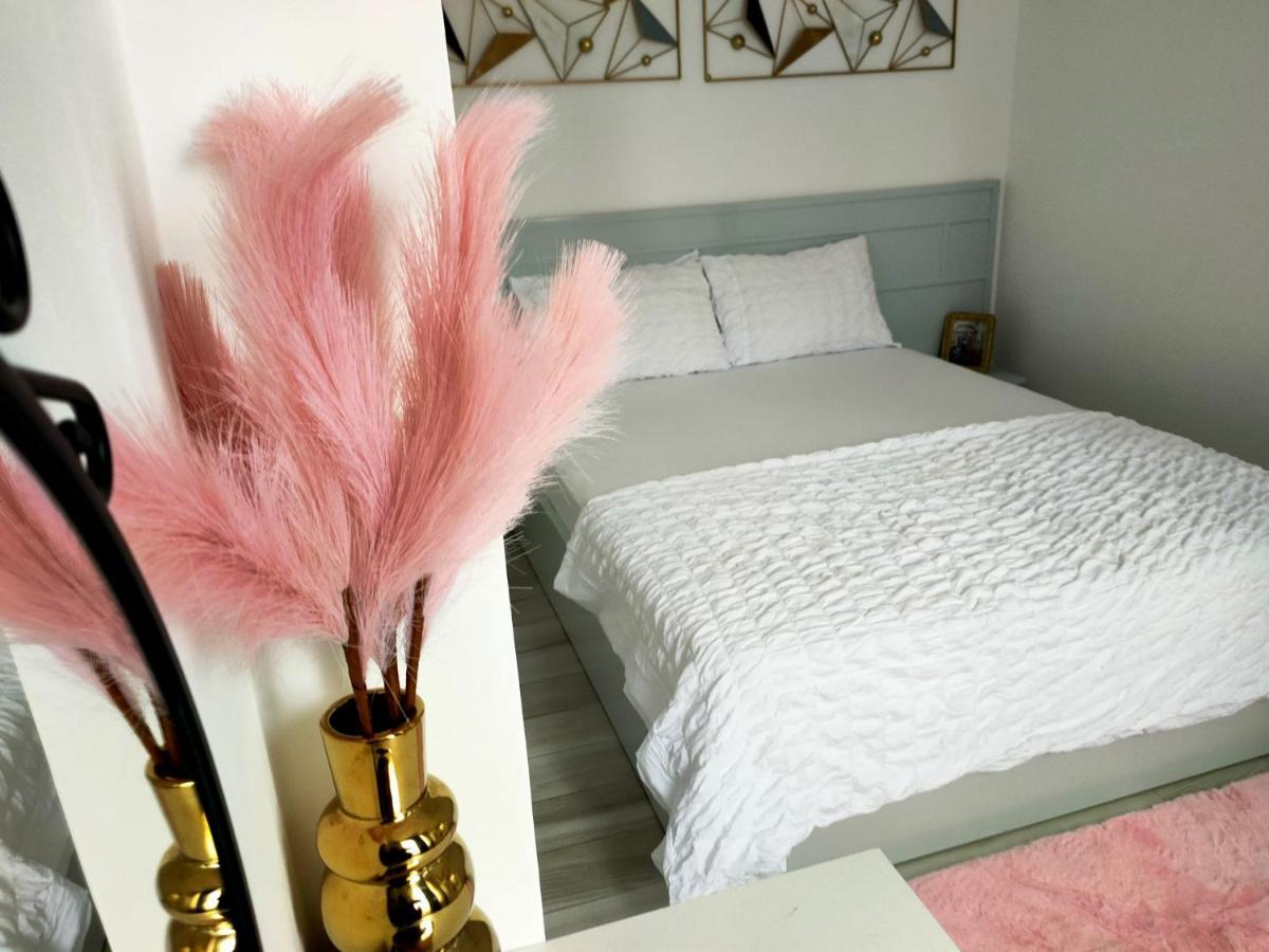 Apartament Dorobanti *