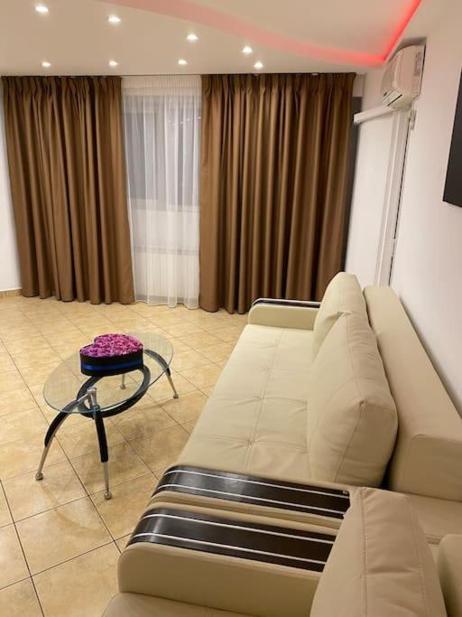 Apartment Belvedere Splaiul Unirii View *