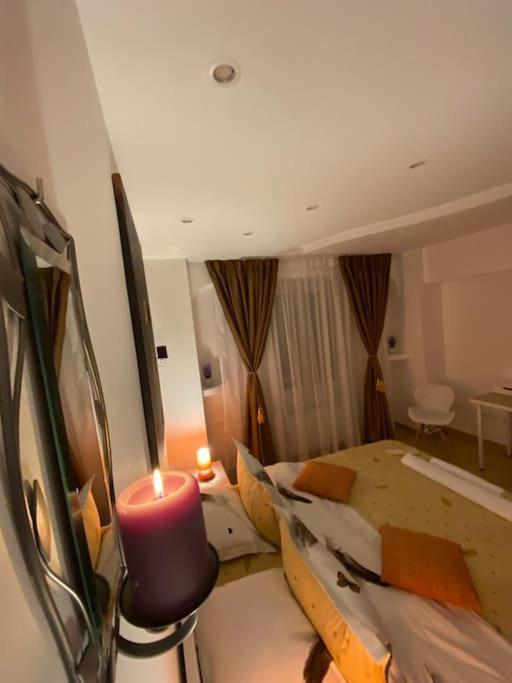 Apartment Belvedere Splaiul Unirii View *