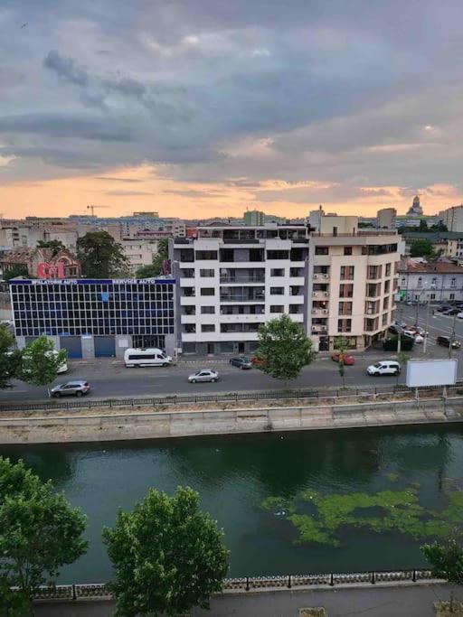 Apartment Belvedere Splaiul Unirii View *