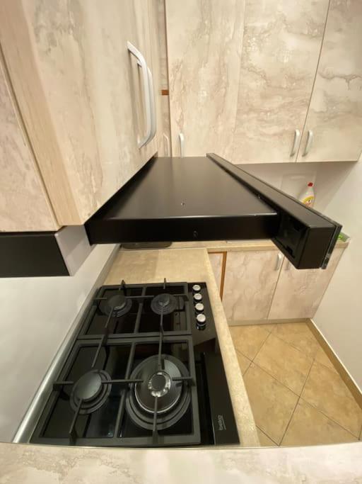 Apartment Belvedere Splaiul Unirii View
