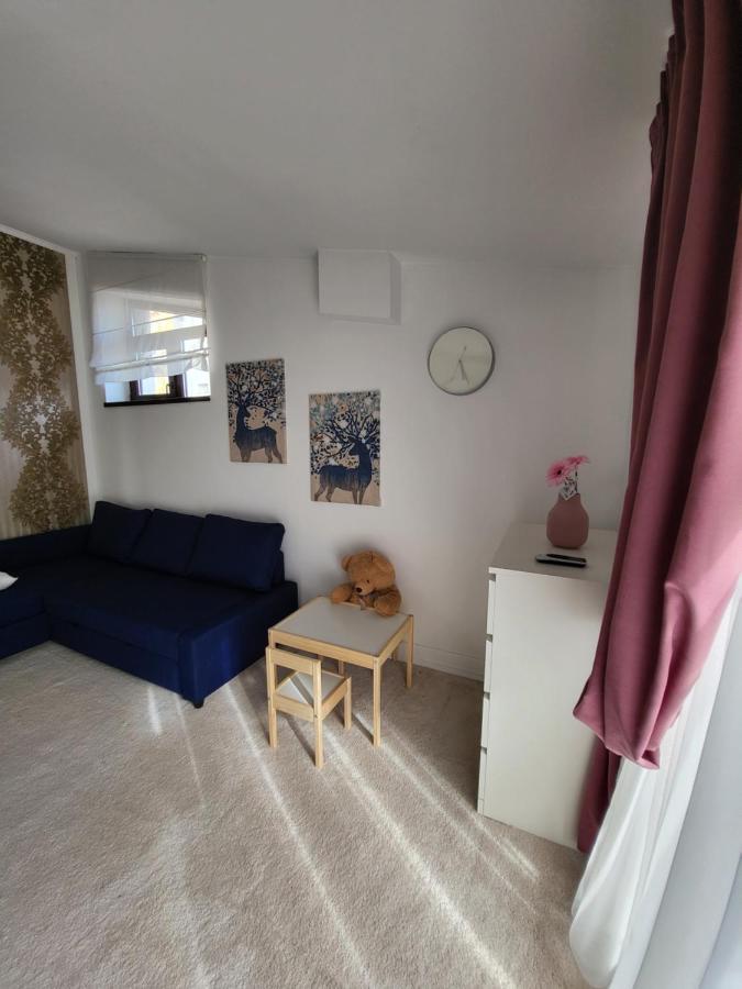 Apartament - Penthouse - Terasa *