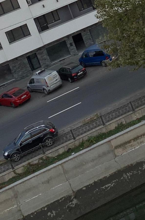 Apartment Belvedere Splaiul Unirii View *