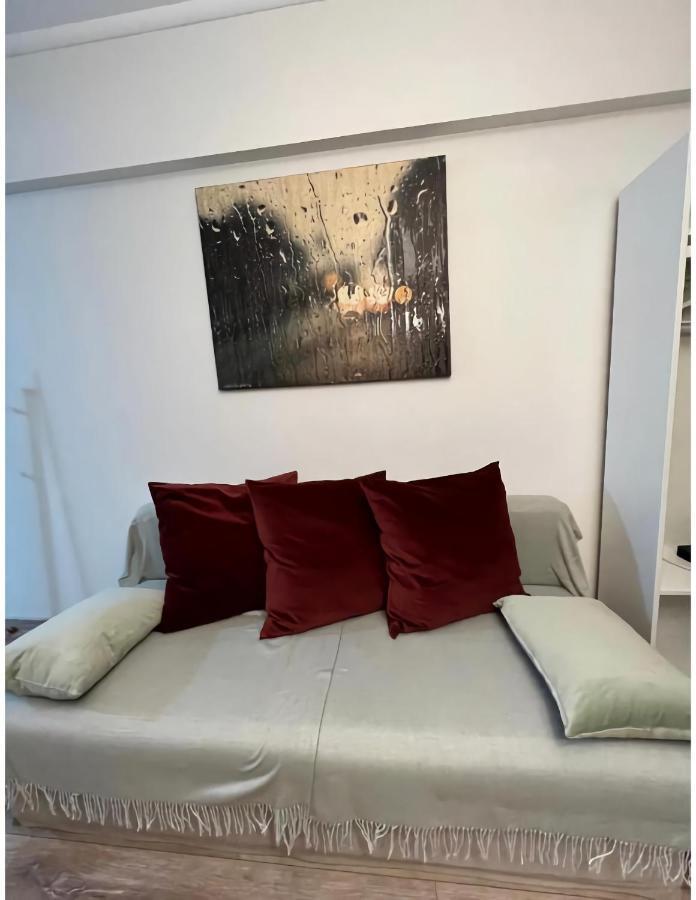 C-entral American Studio Apartment