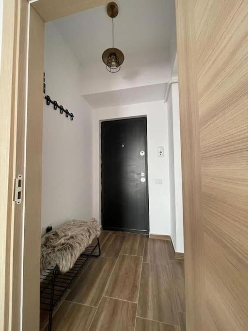 Brancoveanu Apartament * Bucareste