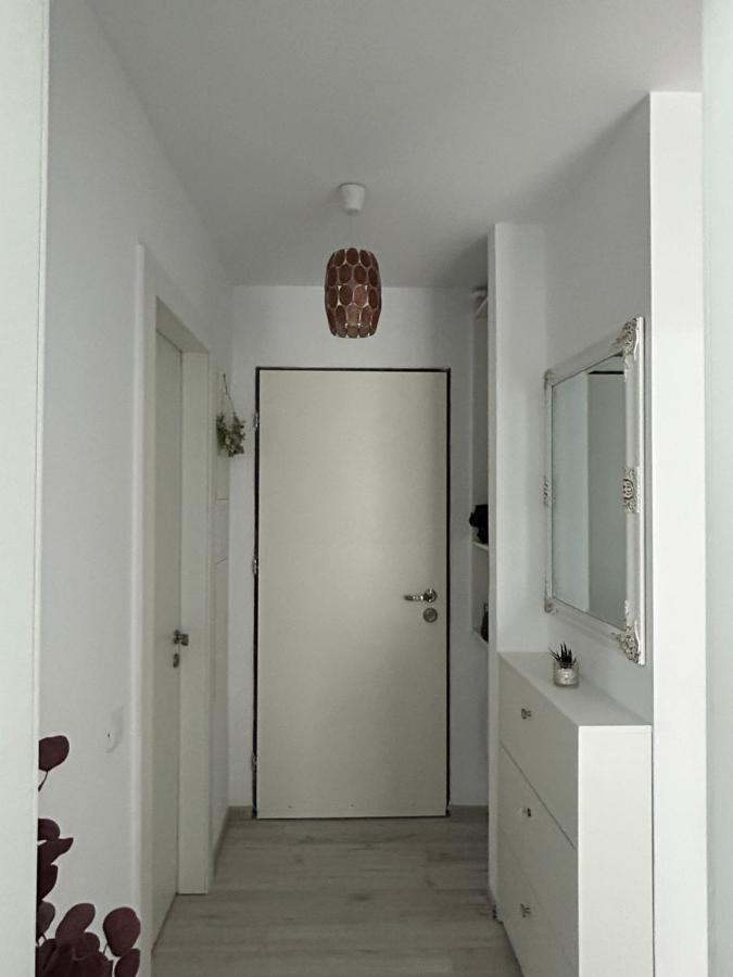 Floreasca Apartament