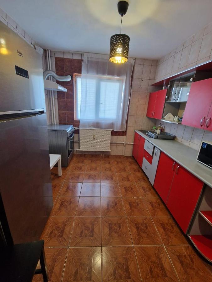 Piata Muncii With A View Apartment
