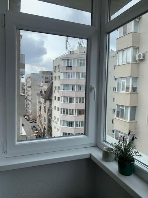 Apartamento Wonderful Bucareste