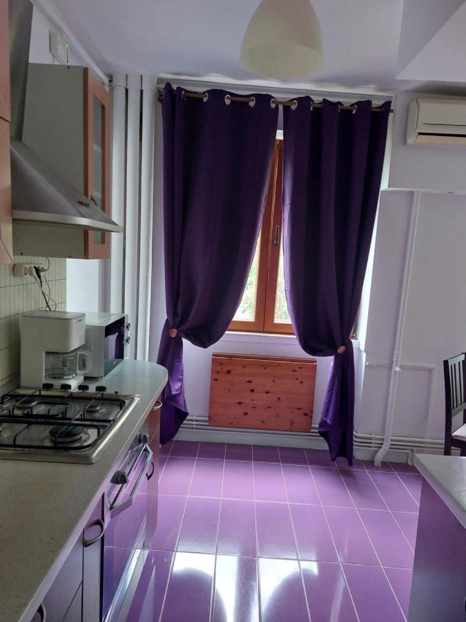 Apartament Casa Flory *