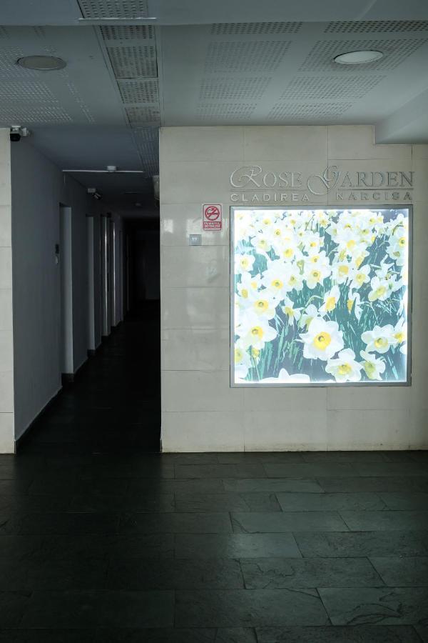 Eme-rose Condo, Free Guarded Parking & Gym Bucureşti