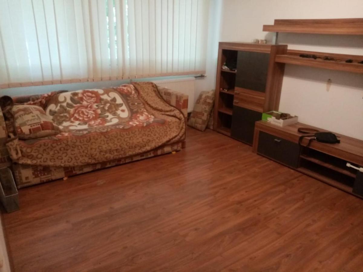 Homestay Quiet Bucharest
