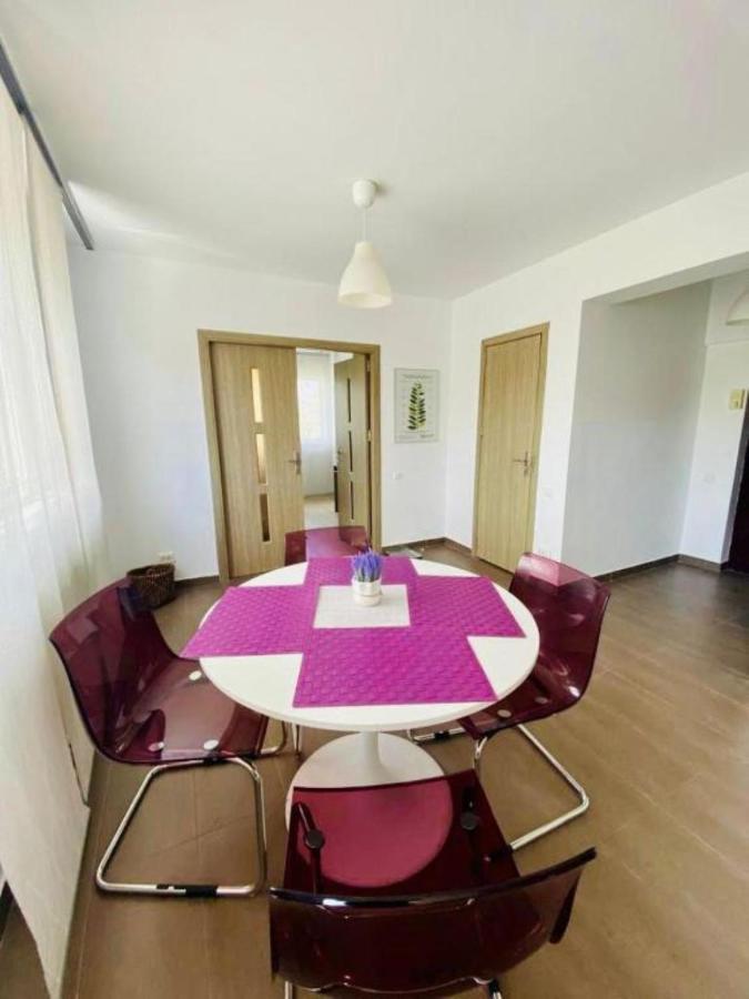 Cismigiu Park Town Apartment