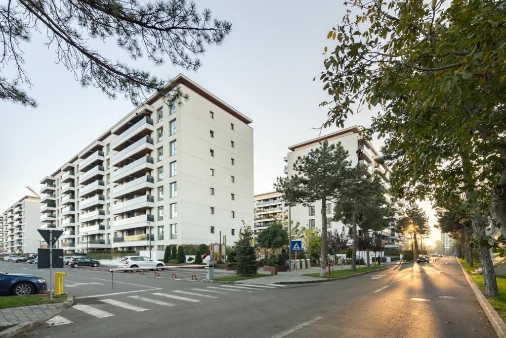 Tribal 1br In Aviatiei Apartment Bucharest
