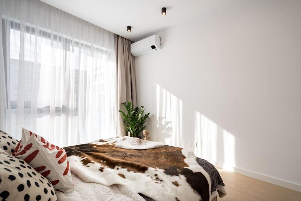 Tribal 1br In Aviatiei * Bucharest