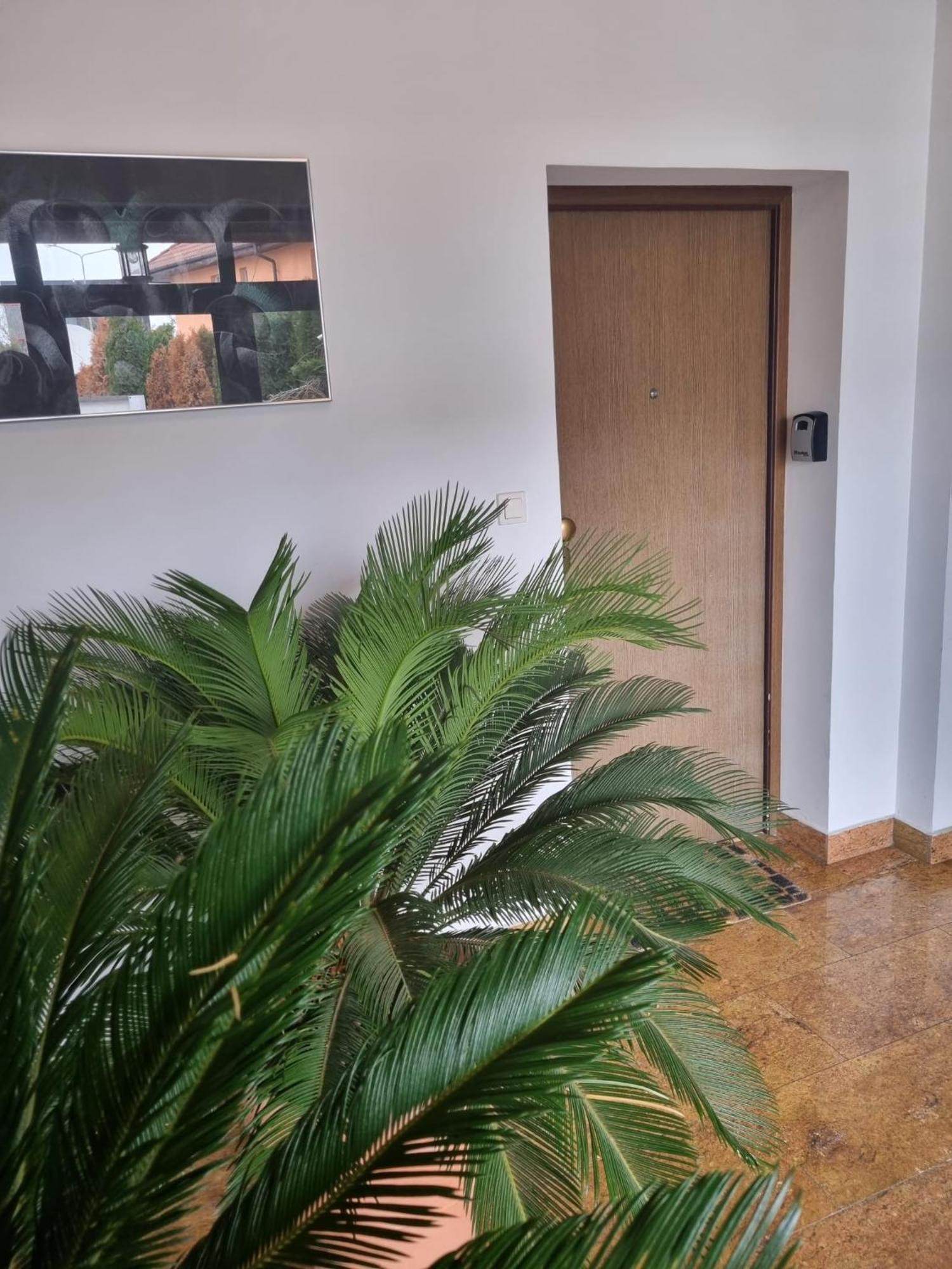 Baneasa Sisesti By Ale Self Check-in