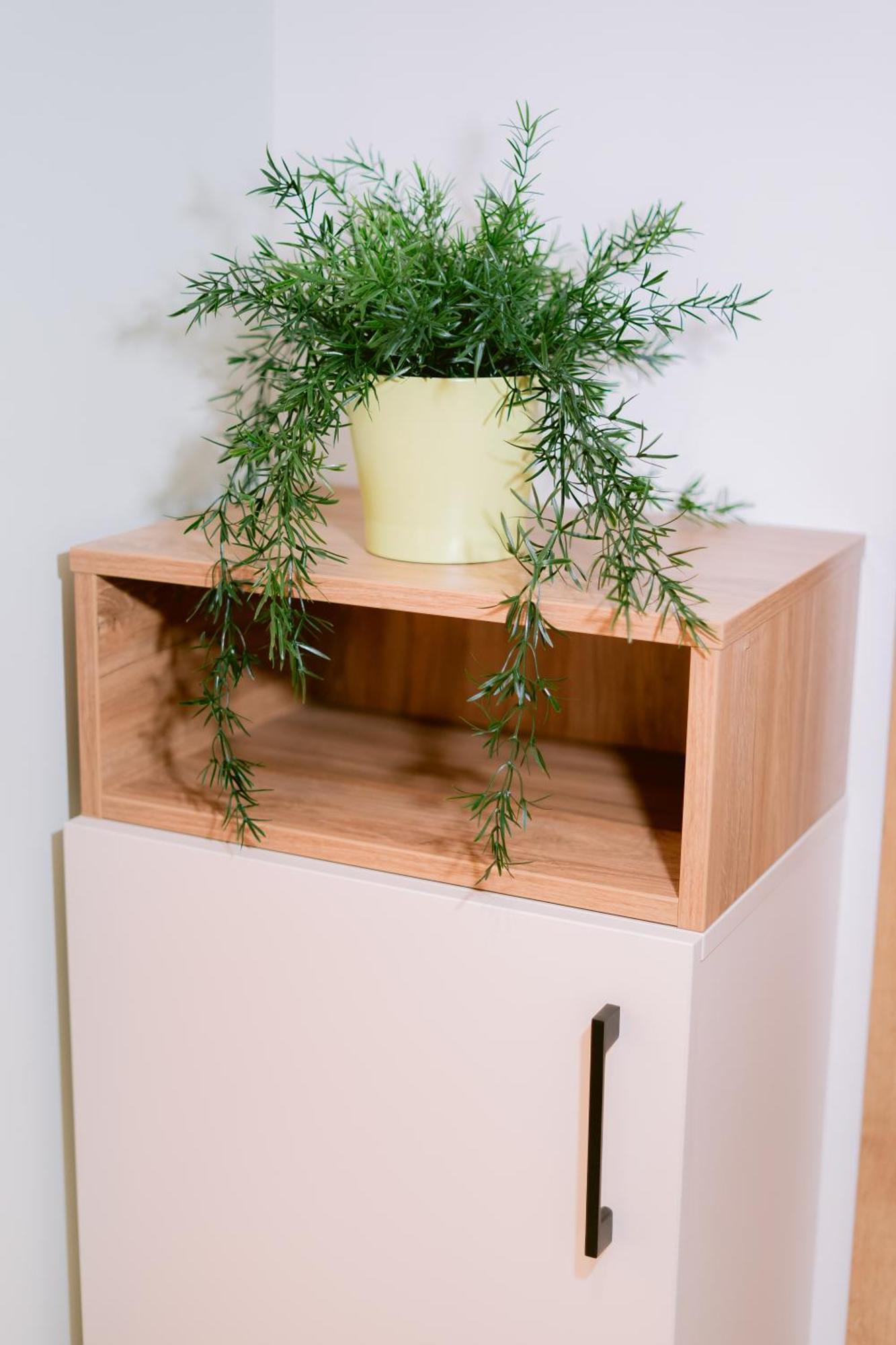 Apartament Forest Mist/plaza Afi Mall