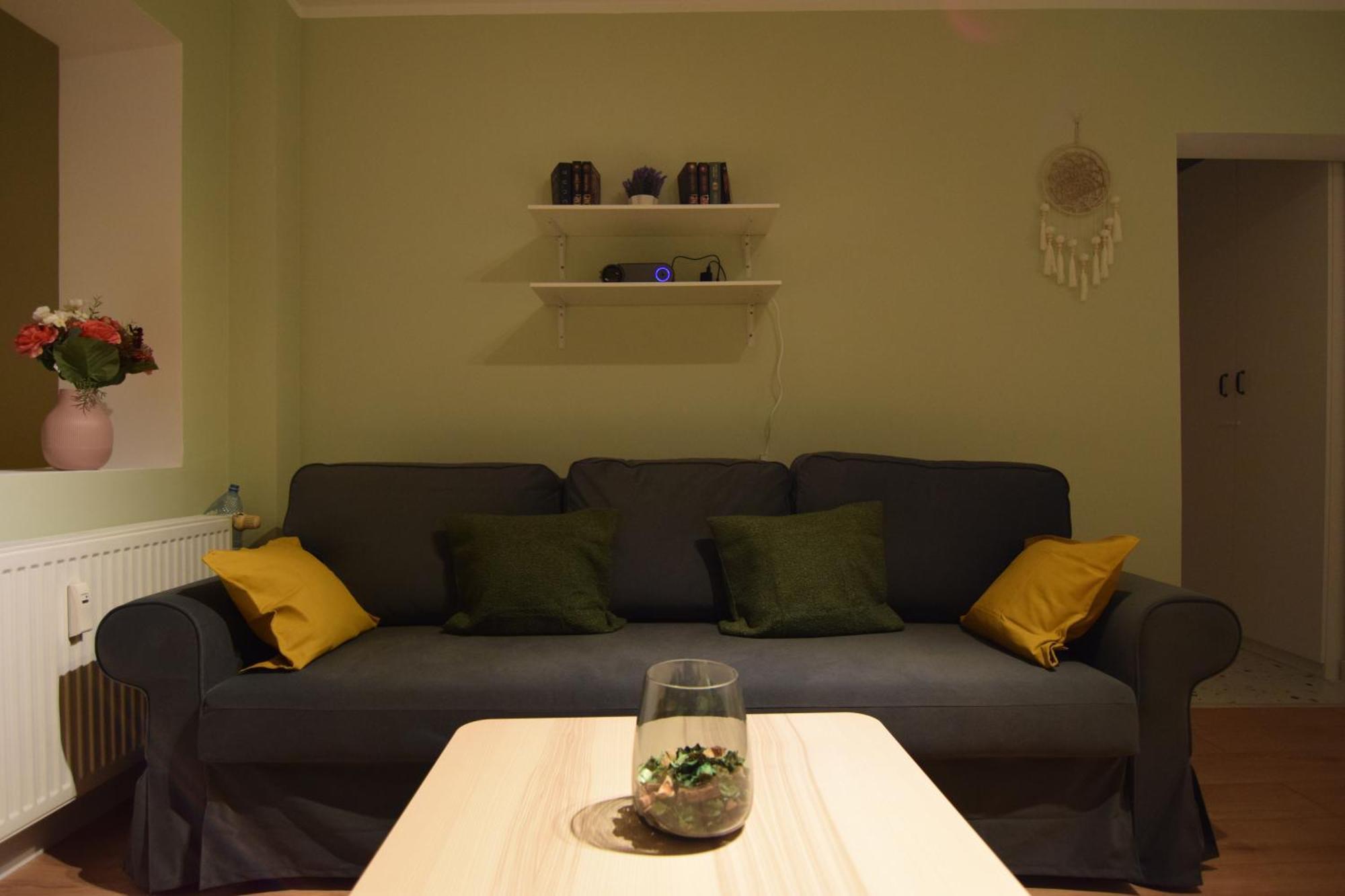 Apartament Stylish With Video Projector