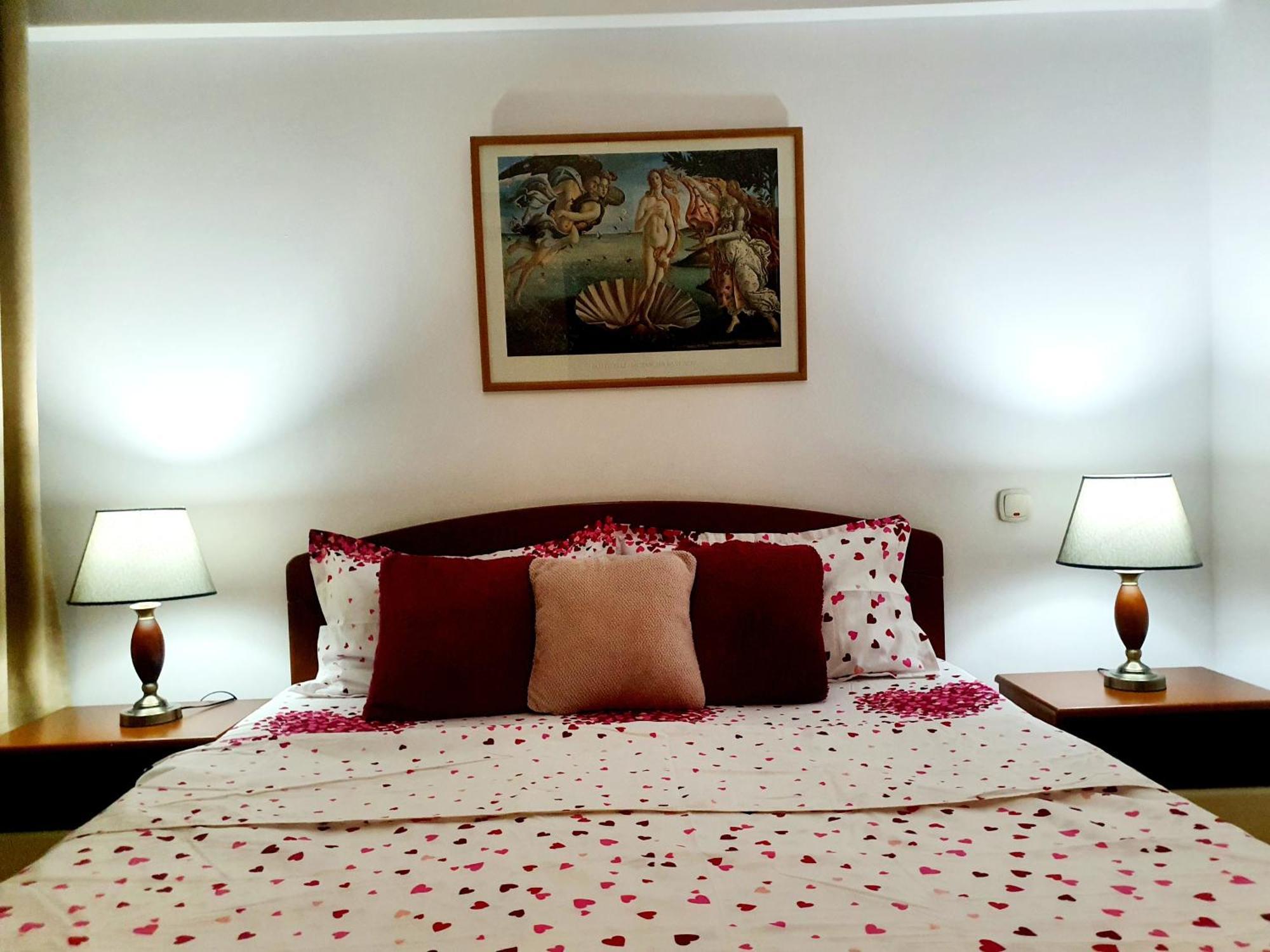 Elisabeta City Apartment *