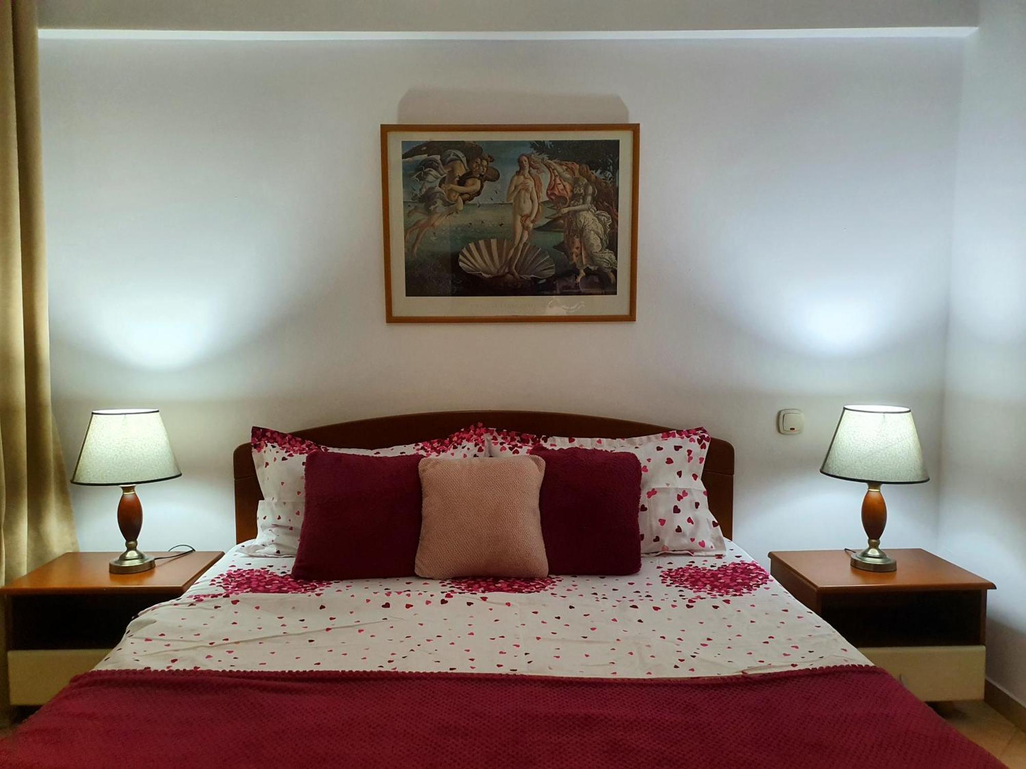 Apartment Elisabeta City