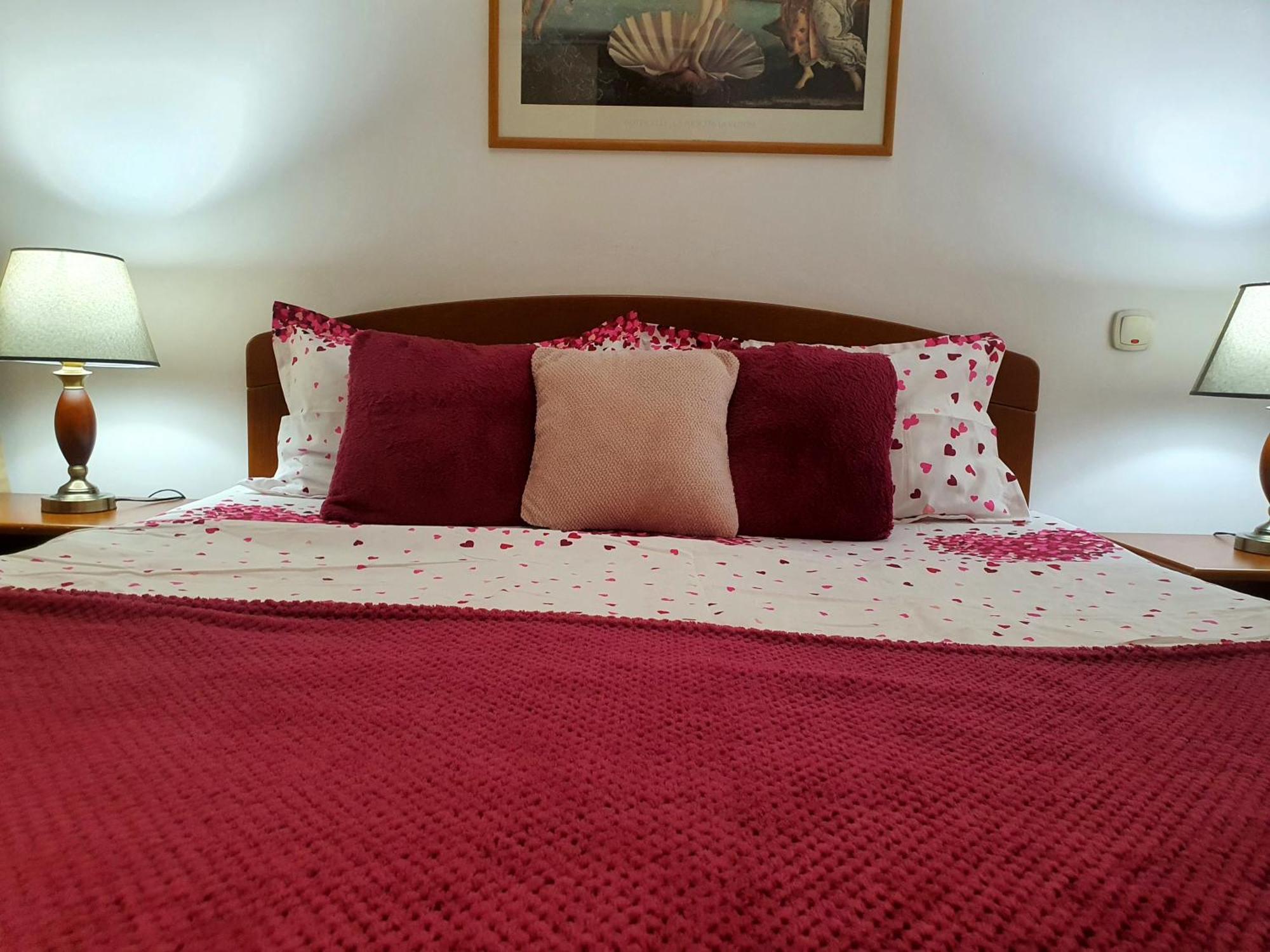 Apartment Elisabeta City