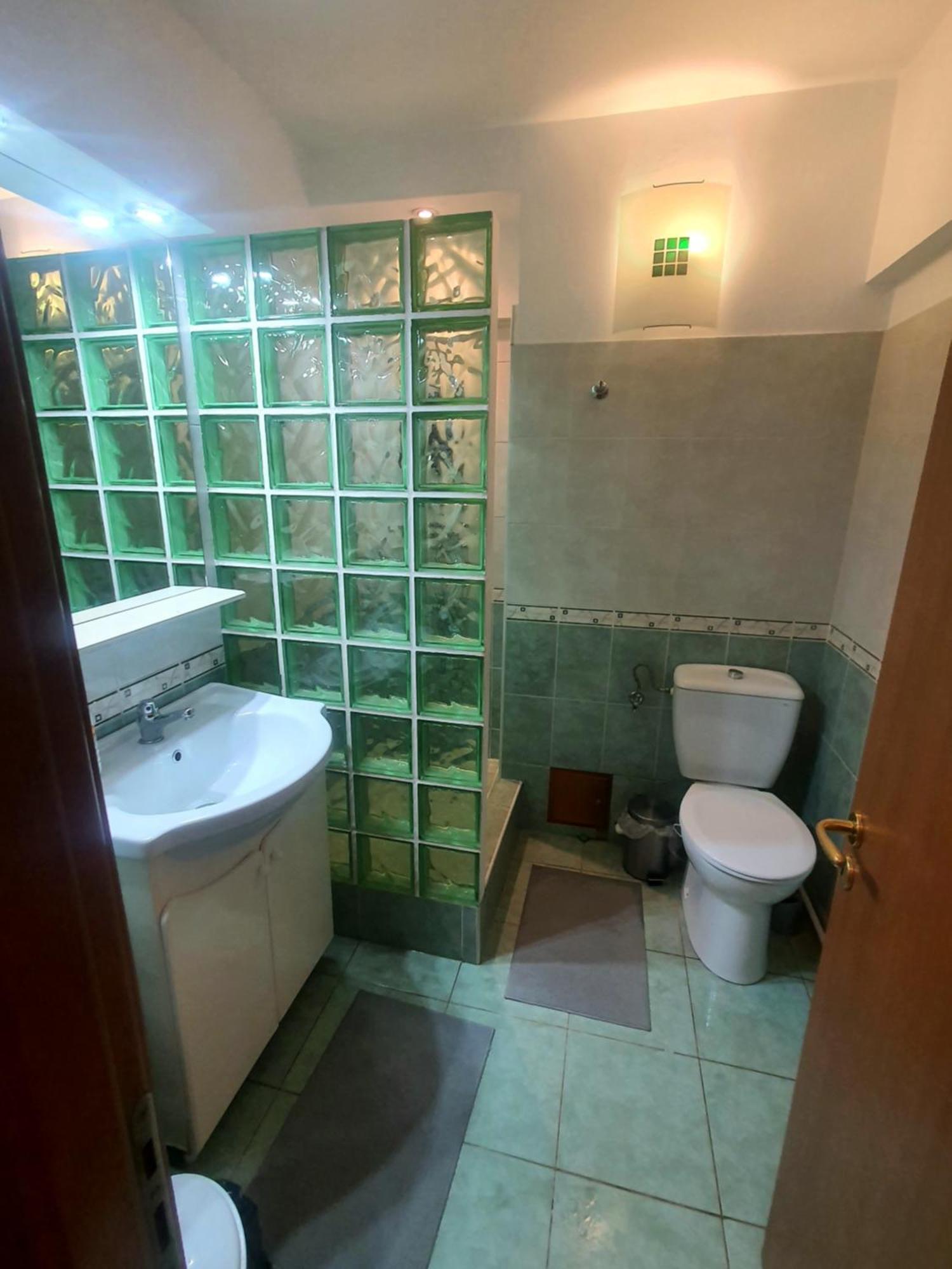 Elisabeta City Apartment *