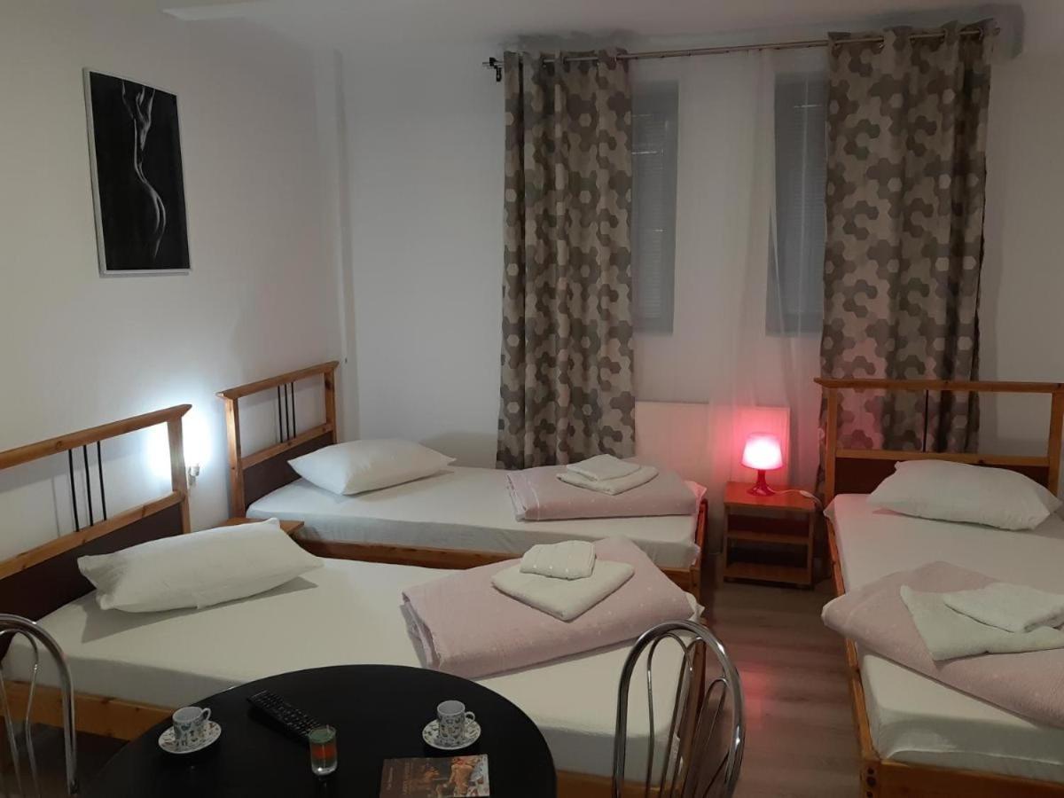Hostel Carol 51