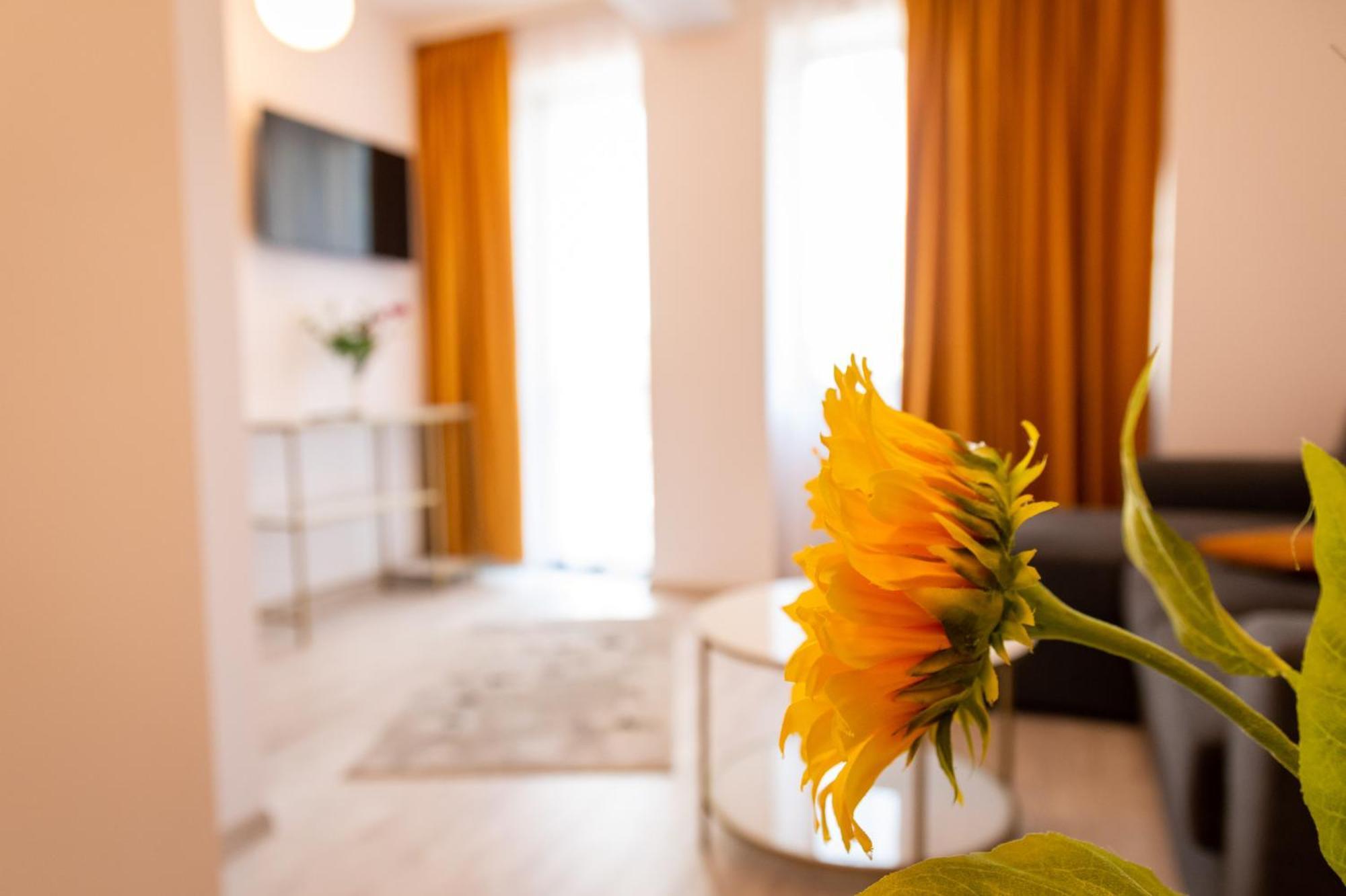 Hotel Cantemir 3*