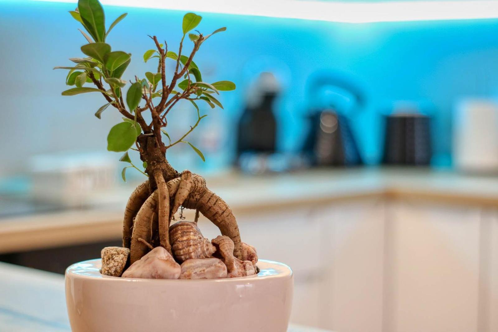 Apartment Relaxation Station: Cozy With Smart Features Near Ior Park *