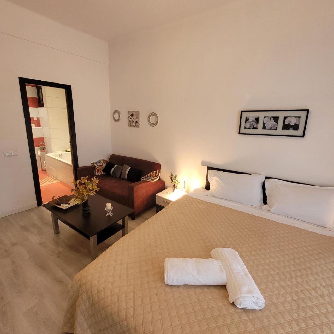 Apartment Anastasia Bratianu 28b Beautiful View Self Check From 2 Pm *