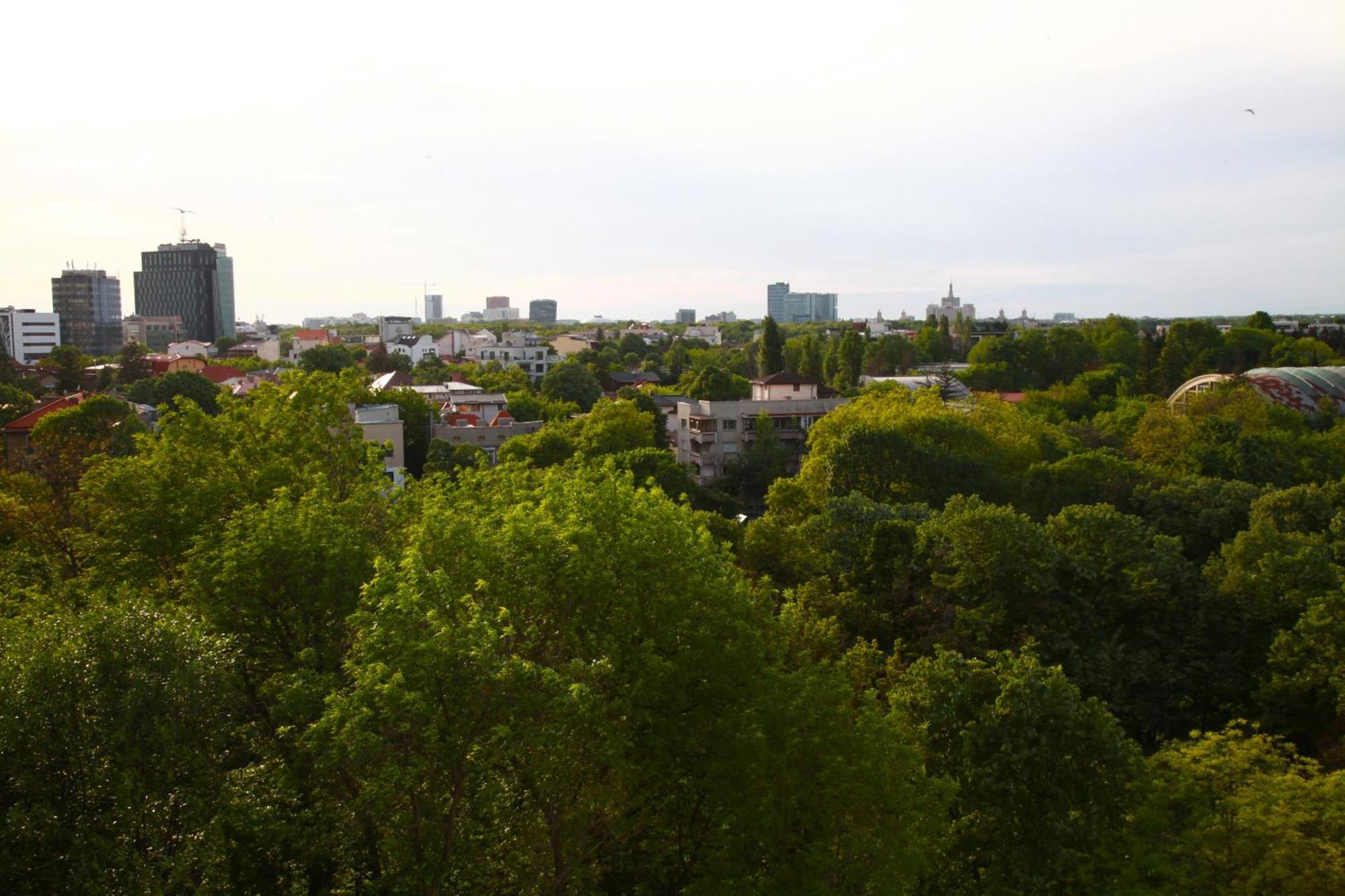 Skyline Bucharest