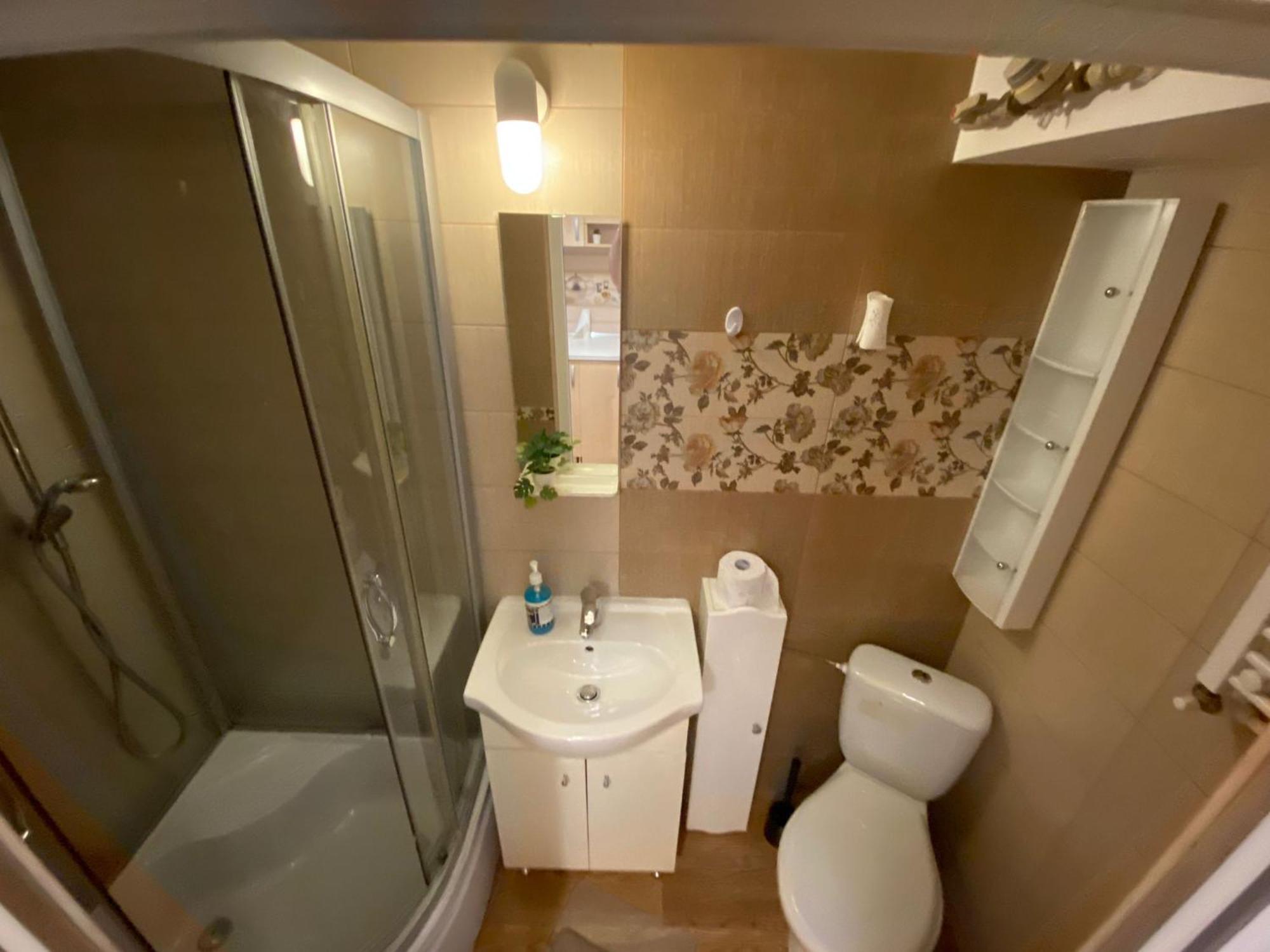 Apartment Lions Studio Dristor Bucharest