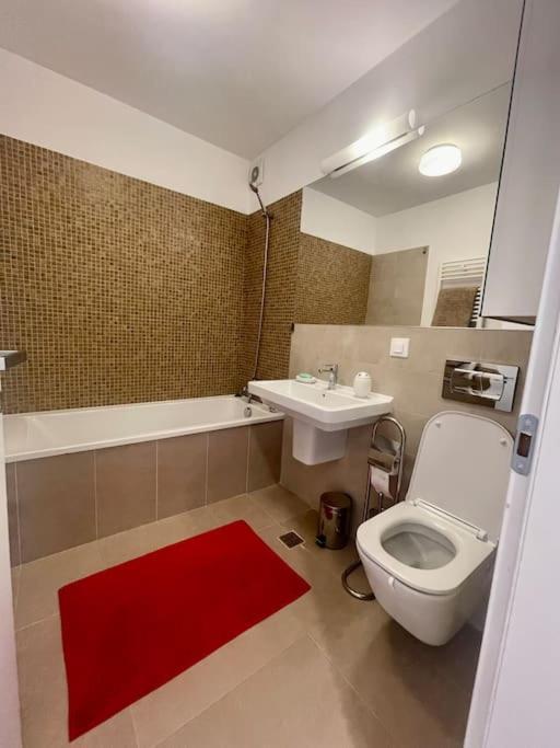 Cozy In The Northern Part Of Apartment Bucharest