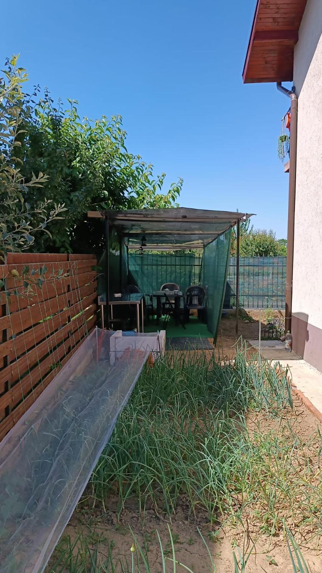 Holiday home Casa Mirela Bucharest