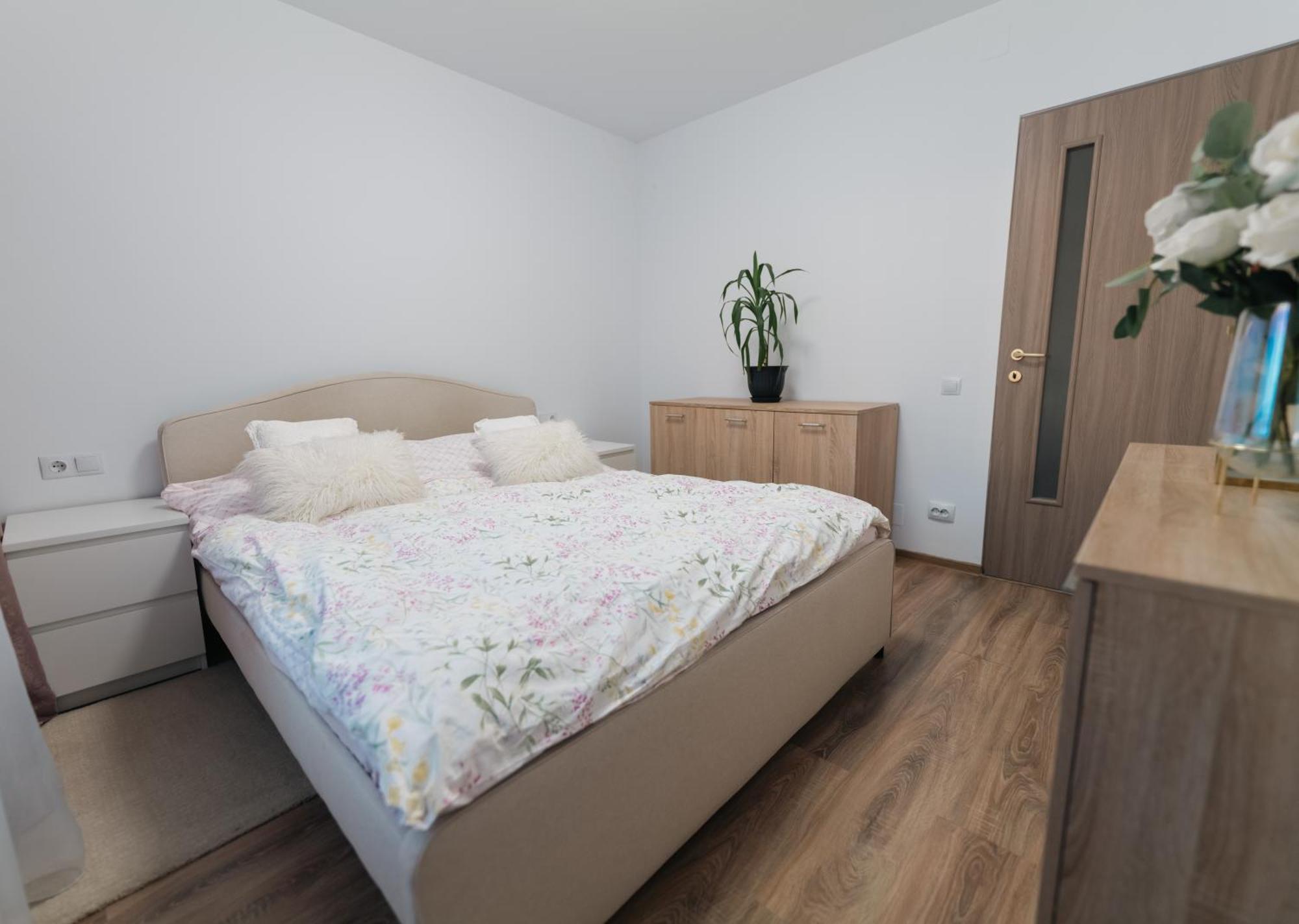 Apartament Codriineamtului