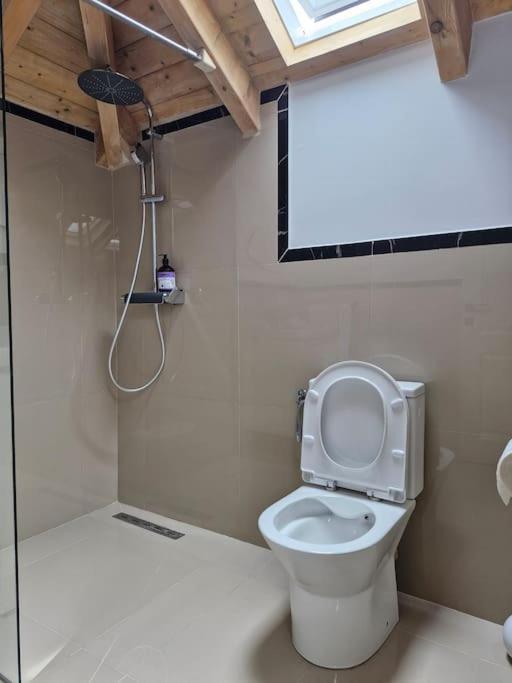 In The Attic With Private Bathroom Apartament Bucureşti