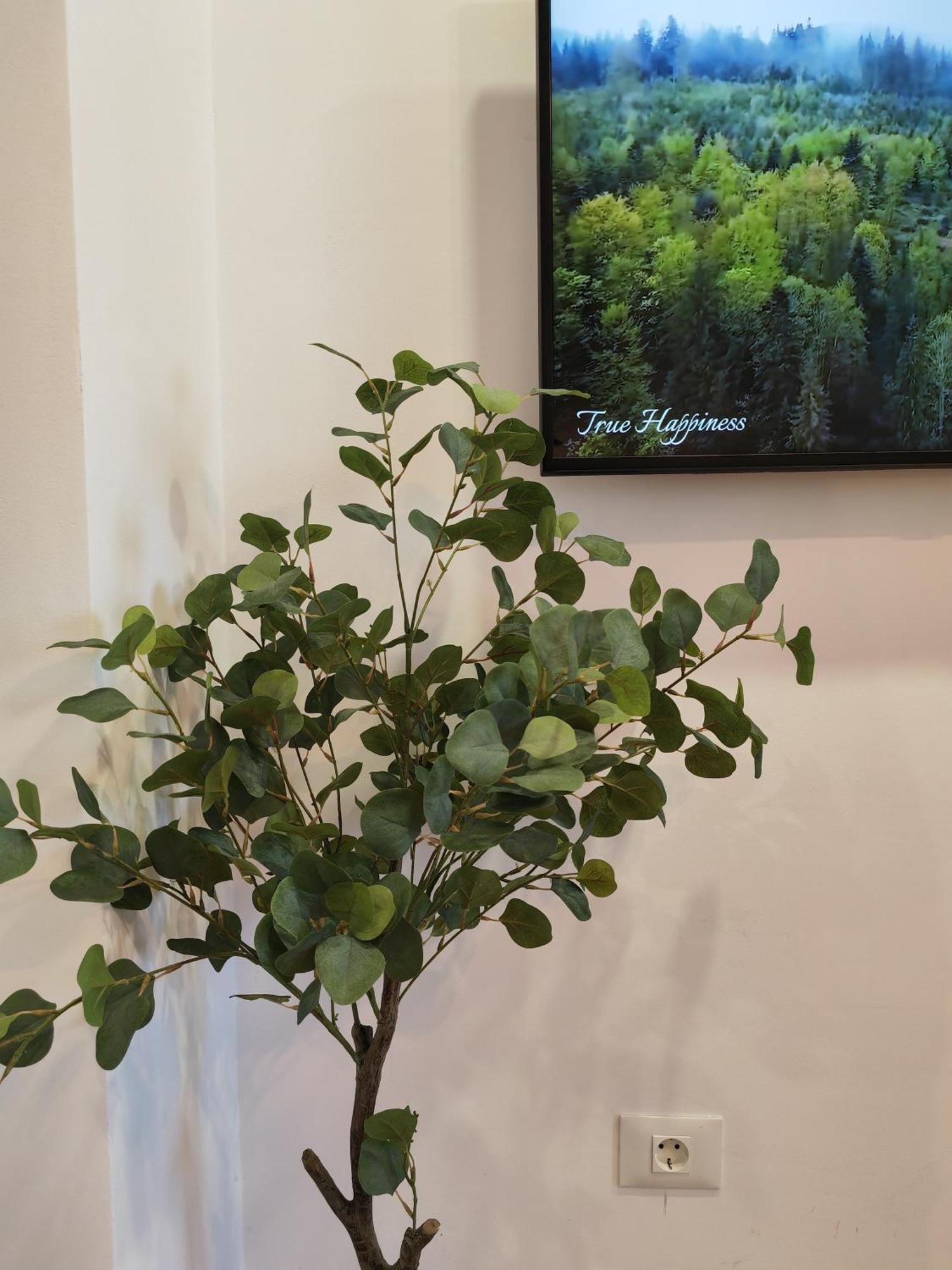 Apartamento Sunset Rebreanu *