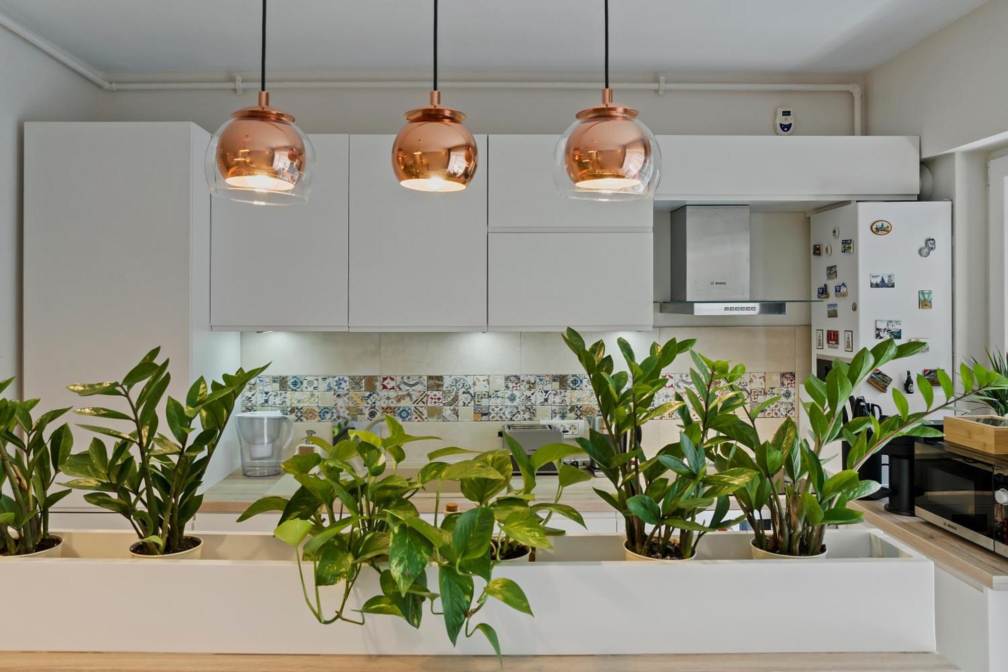 Apartamento Happy Bucareste